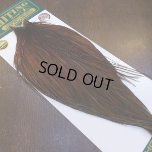 画像2: 【WHITING】Hebert ROOSTER CAPE Bronze grade - Furnace No.4