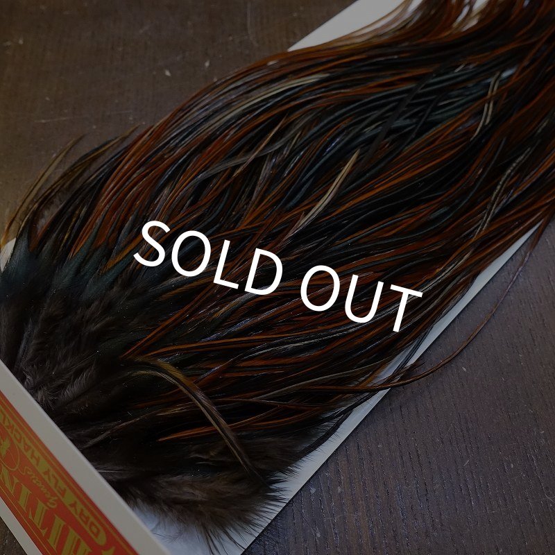 画像3: 【WHITING】Rooster Saddle Pro Grade Furnace #14 No.3 (3)