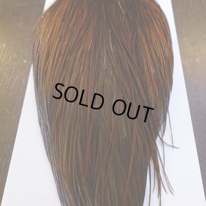 画像5: 【WHITING】Hebert ROOSTER CAPE Bronze grade - Furnace No.4