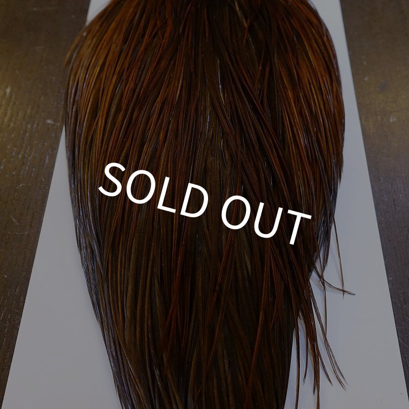 画像5: 【WHITING】Hebert ROOSTER CAPE Bronze grade - Furnace No.4 (5)