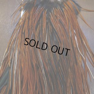 画像6: 【WHITING】Rooster Saddle Pro Grade Furnace #16 No.4