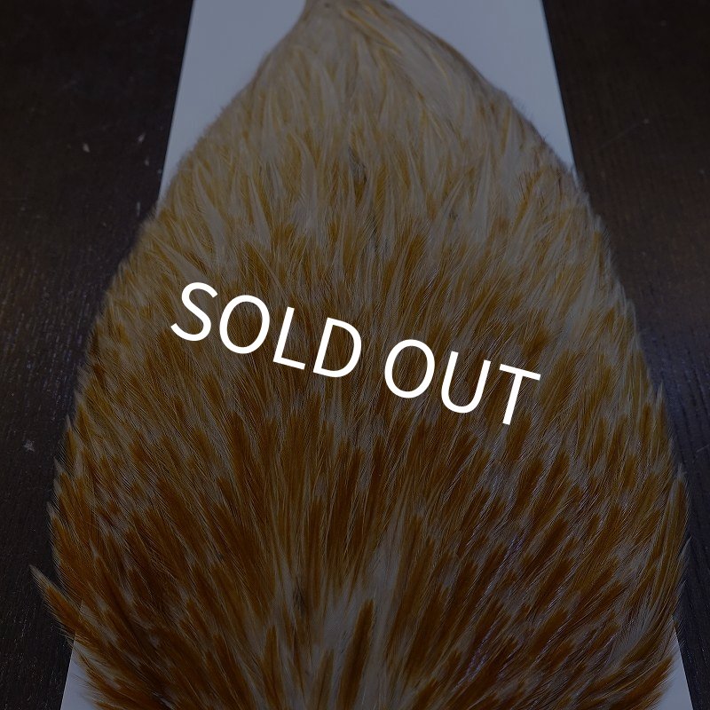 画像5: 【WHITING】AMERICAN ROOSTER CAPE - HONEY DUN (5)