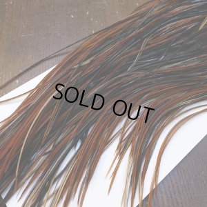 画像5: 【WHITING】Rooster Saddle Pro Grade Furnace #14 No.3