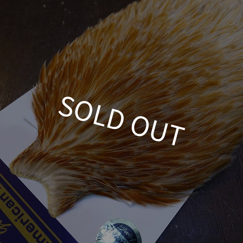 画像3: 【WHITING】AMERICAN ROOSTER CAPE - HONEY DUN (3)