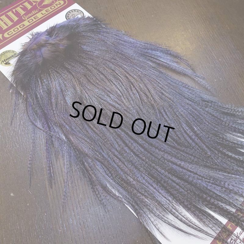 画像2: 【WHITING】Coq de Leon Saddle Bronze Grade - DYED BADGER/LAVENDER (2)