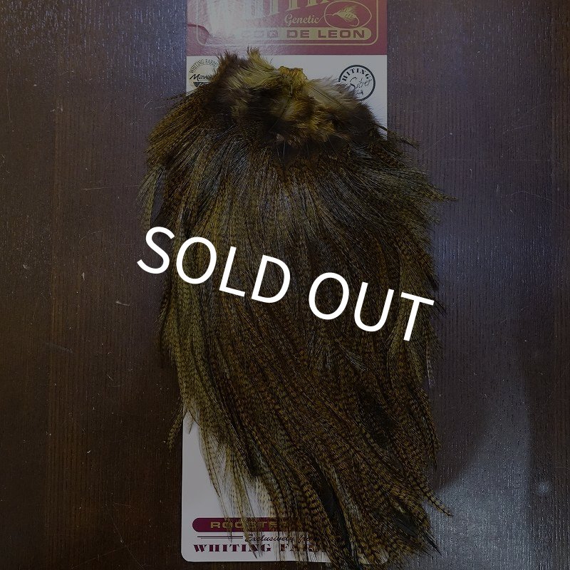 画像1: 【WHITING】Coq de Leon Saddle Silver Grade - DYED BADGER/GOLDEN OLIVE (1)