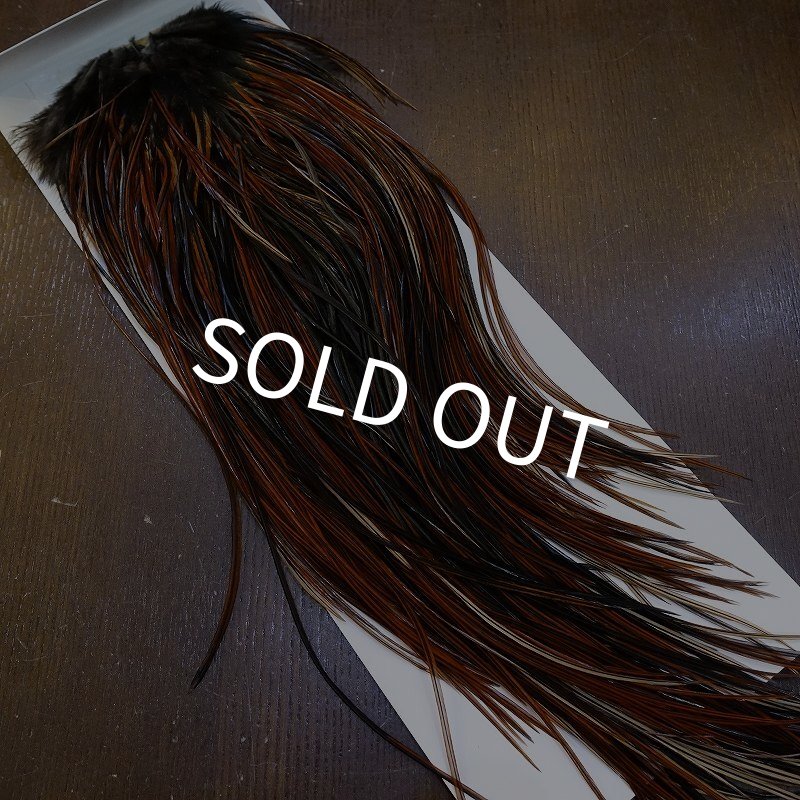 画像2: 【WHITING】Rooster Saddle Pro Grade Furnace #14 No.3 (2)