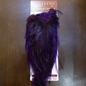 画像1: 【WHITING】Coq de Leon Saddle Silver Grade - DYED BADGER/Purple