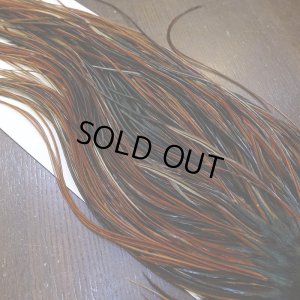 画像4: 【WHITING】Rooster Saddle Pro Grade Furnace #14 No.3