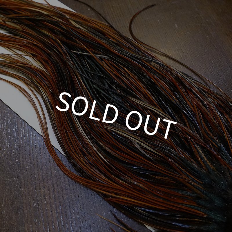 画像4: 【WHITING】Rooster Saddle Pro Grade Furnace #14 No.3 (4)