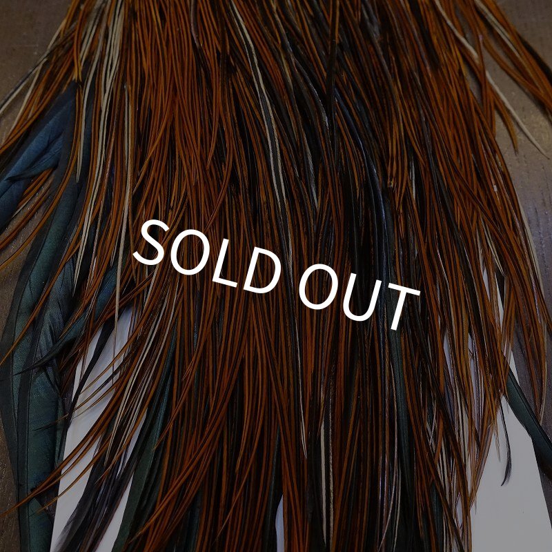 画像5: 【WHITING】Rooster Saddle Pro Grade Furnace #16 No.4 (5)