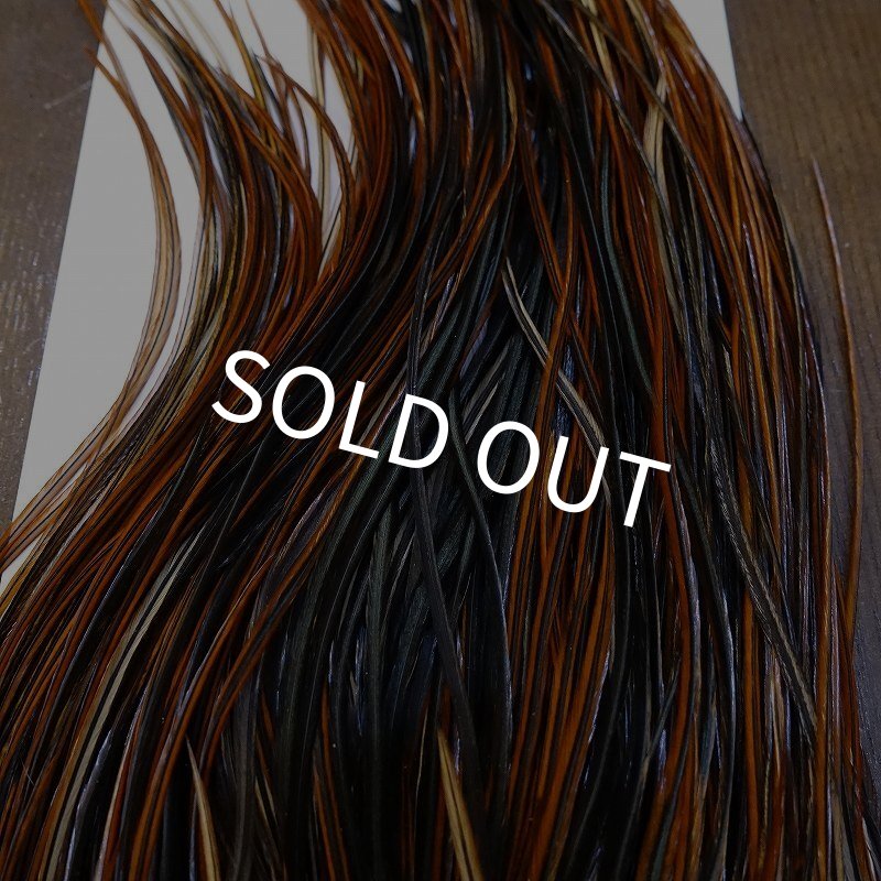 画像6: 【WHITING】Rooster Saddle Pro Grade Furnace #14 No.3 (6)