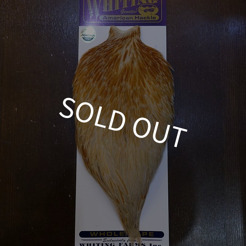 画像1: 【WHITING】AMERICAN ROOSTER CAPE - HONEY DUN (1)