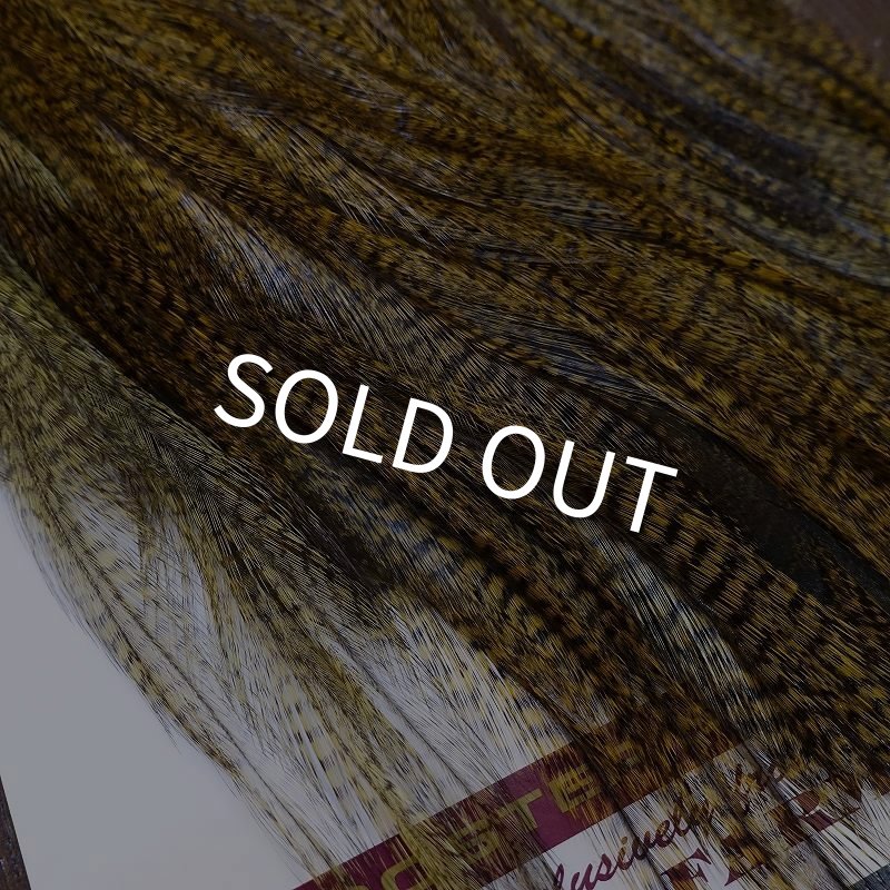 画像3: 【WHITING】Coq de Leon Saddle Silver Grade - DYED BADGER/GOLDEN OLIVE (3)