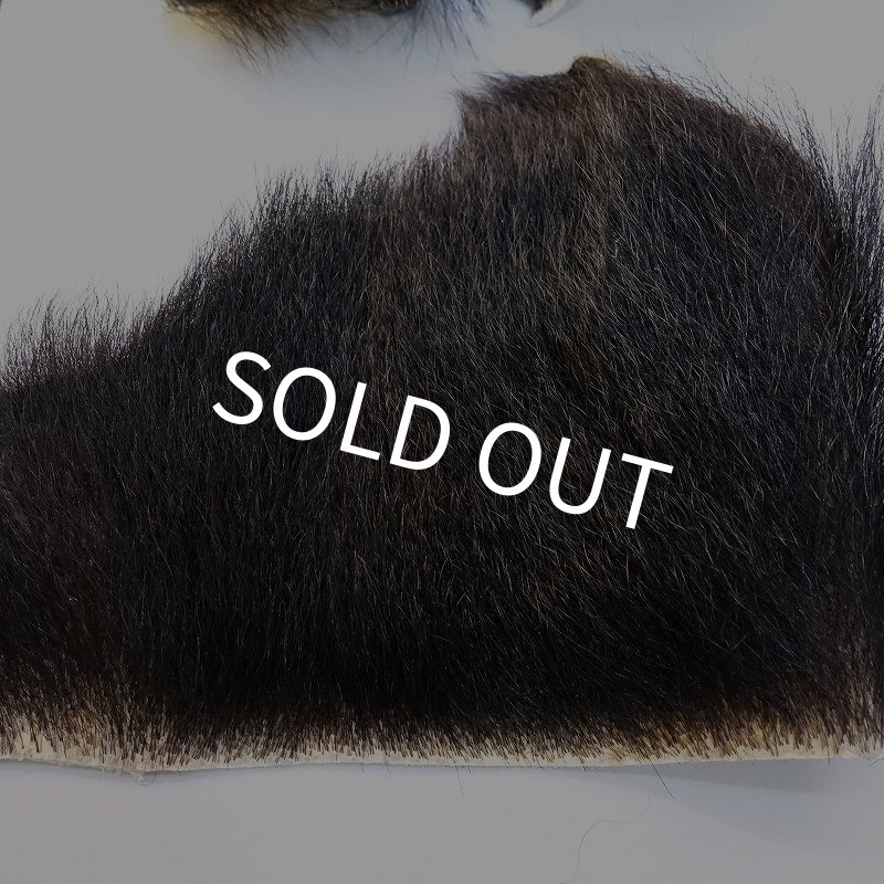 画像2: 【D】ヒグマ 切れ端(3) (2)