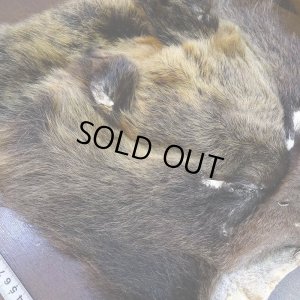 画像5: 【D】ヒグマ マスク 約45x42cm