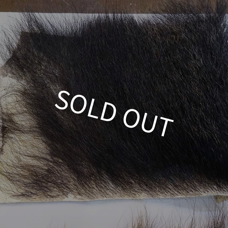 画像3: 【D】ヒグマ 切れ端(1) (3)