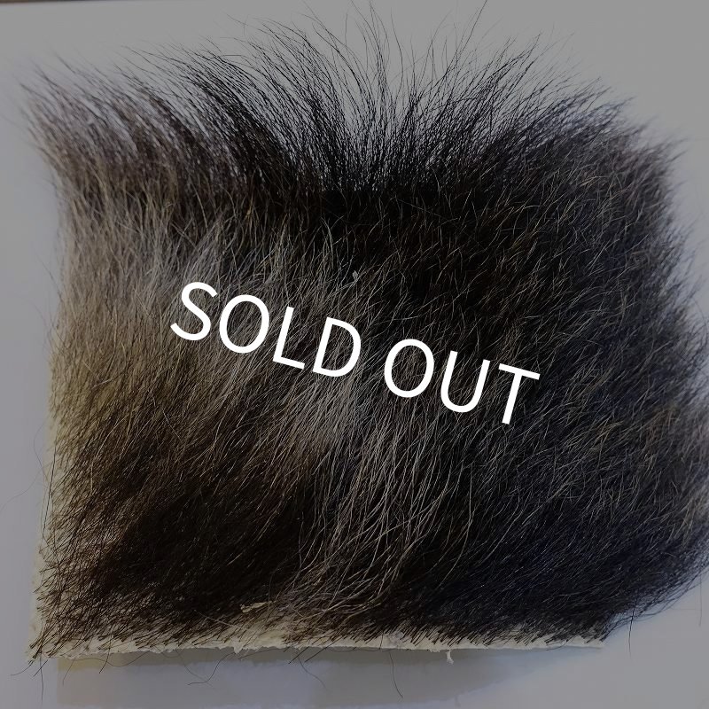 画像1: 【D】ヒグマ シルバー 10x10cm (1)