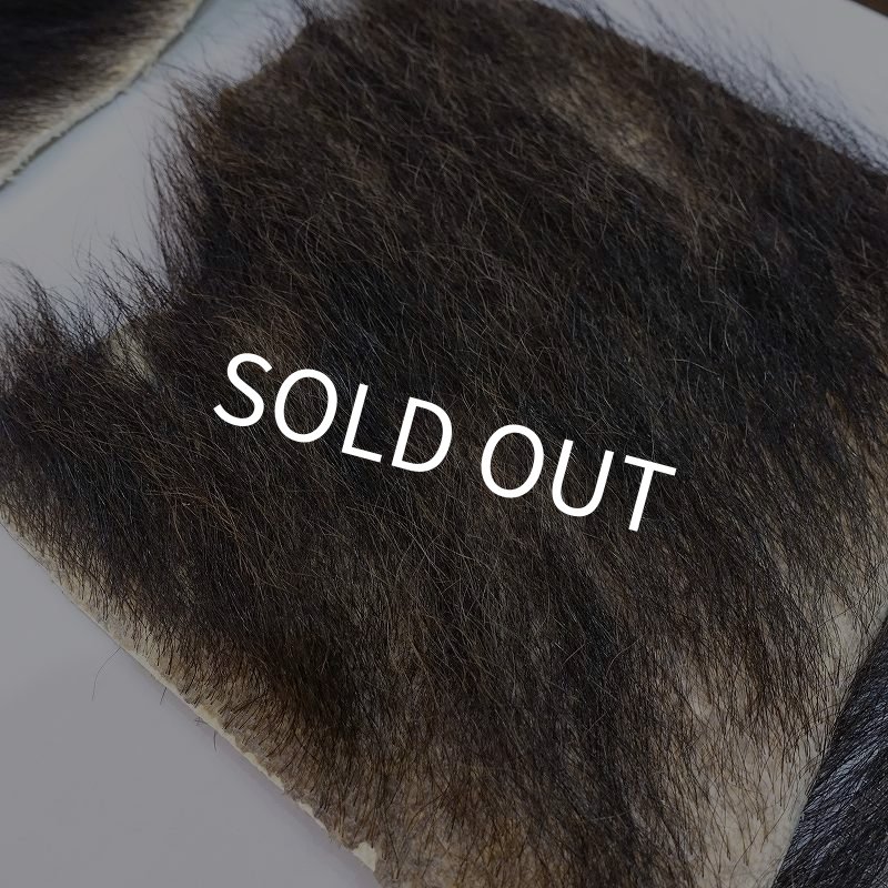 画像5: 【D】ヒグマ 切れ端(1) (5)