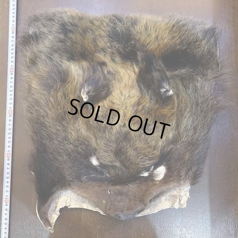 画像1: 【D】ヒグマ マスク 約45x42cm (1)