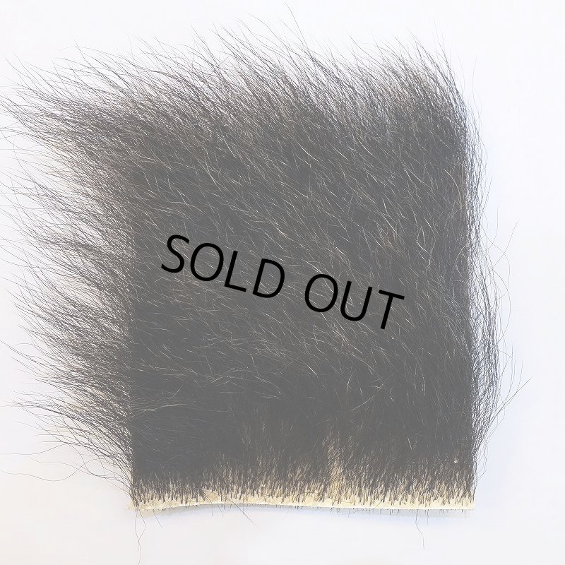 画像1: 【D】ヒグマ 10x10cm(Aグレード) (1)