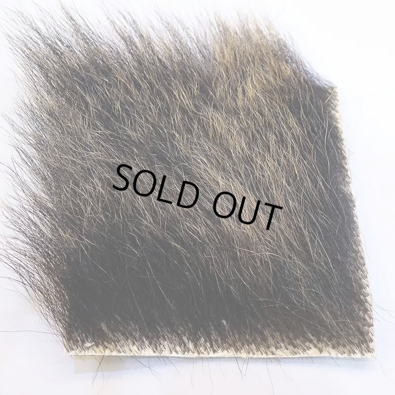 画像1: 【D】ヒグマ ゴールド 10x10cm(Aグレード) (1)