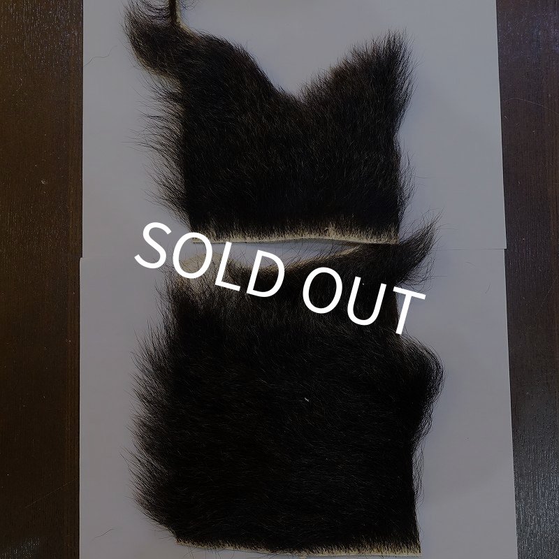 画像1: 【D】ヒグマ 切れ端(2) (1)