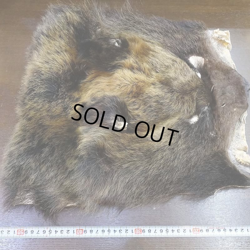 画像7: 【D】ヒグマ マスク 約45x42cm (7)