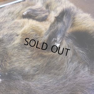 画像6: 【D】ヒグマ マスク 約45x42cm