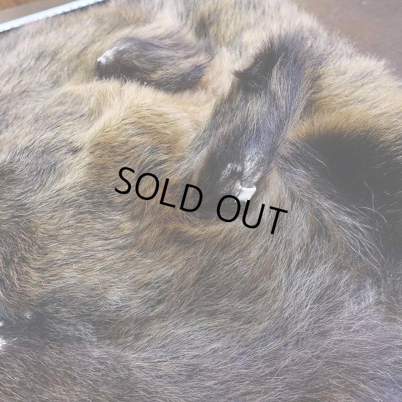 画像6: 【D】ヒグマ マスク 約45x42cm (6)