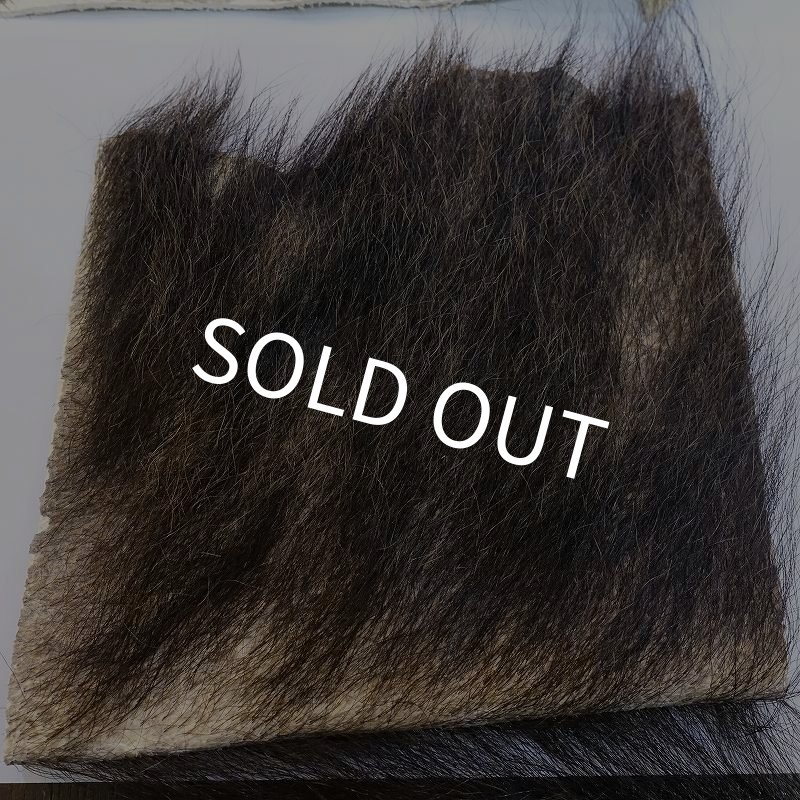 画像2: 【D】ヒグマ 切れ端(1) (2)