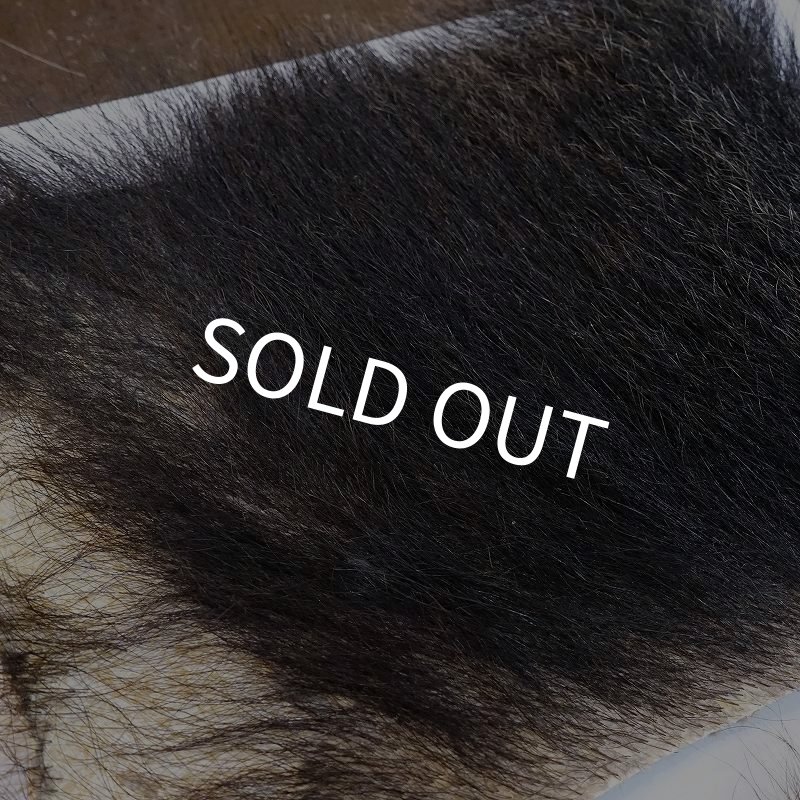 画像4: 【D】ヒグマ 切れ端(1) (4)