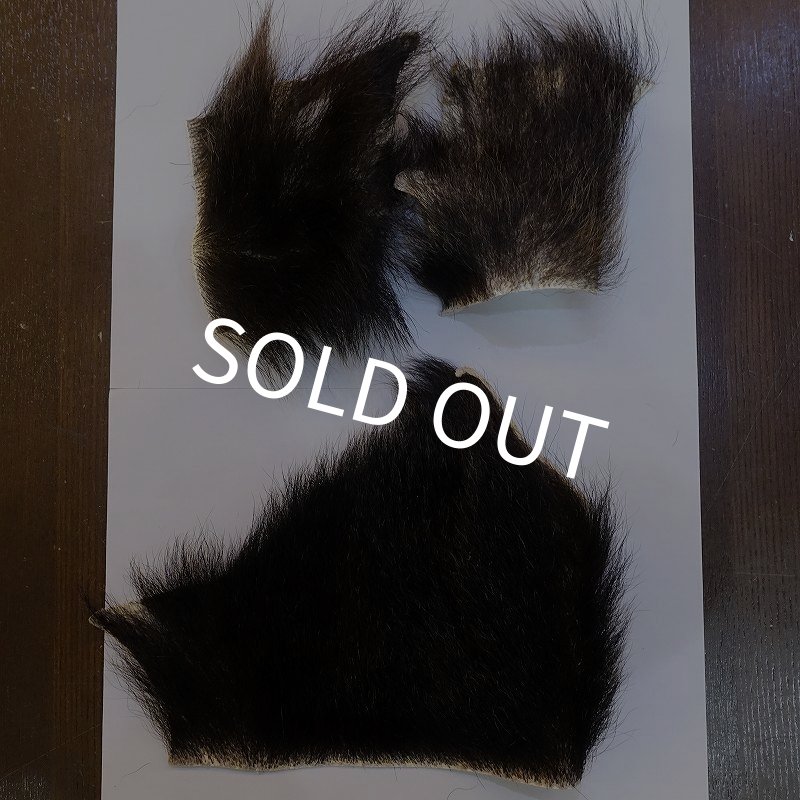 画像1: 【D】ヒグマ 切れ端(3) (1)