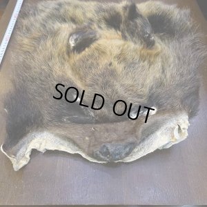 画像2: 【D】ヒグマ マスク 約45x42cm
