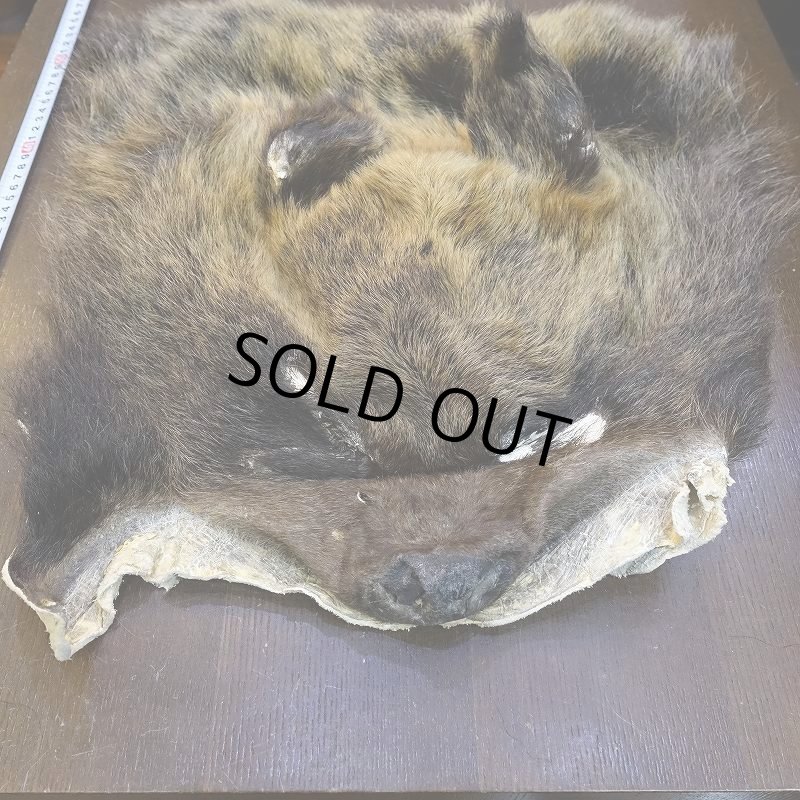 画像2: 【D】ヒグマ マスク 約45x42cm (2)