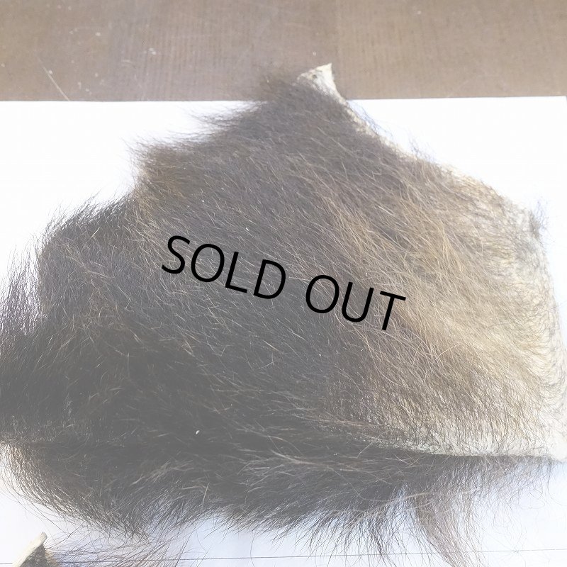 画像3: 【D】ヒグマ 切れ端(4) (3)