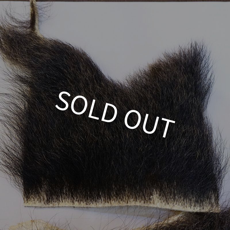 画像3: 【D】ヒグマ 切れ端(2) (3)