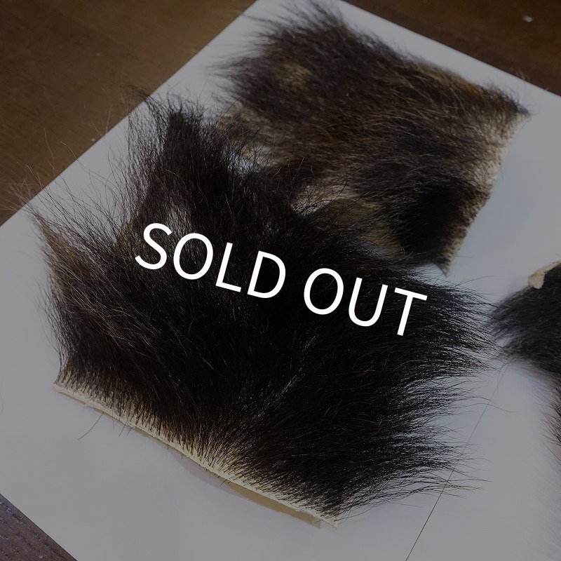 画像5: 【D】ヒグマ 切れ端(3) (5)