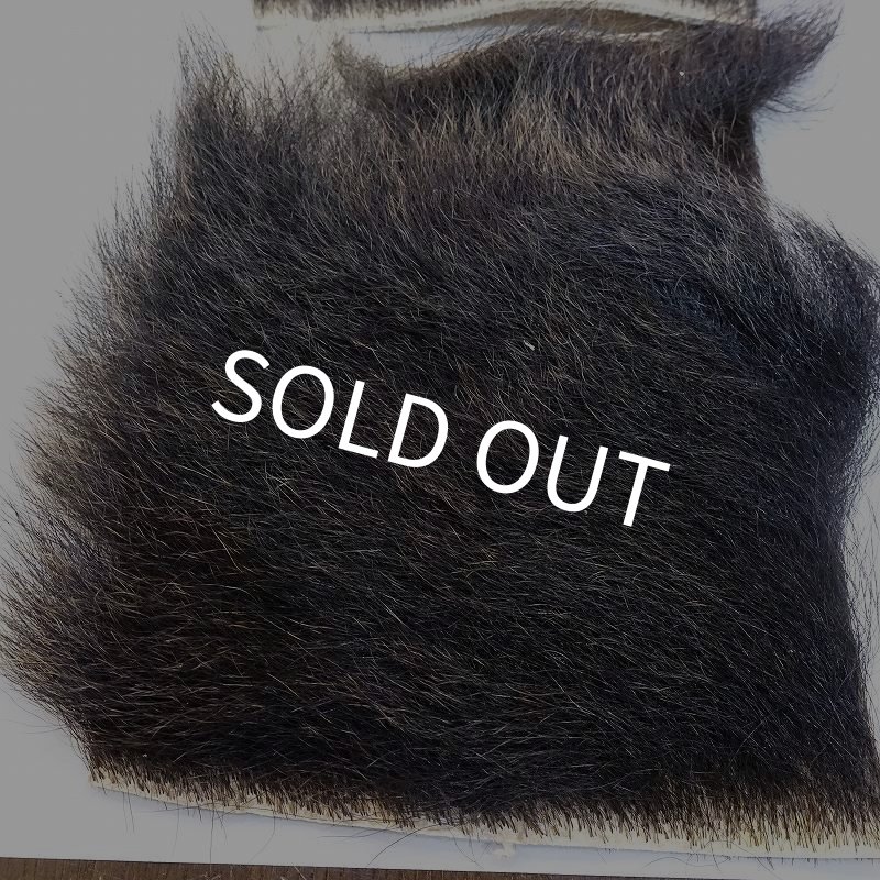 画像2: 【D】ヒグマ 切れ端(2) (2)