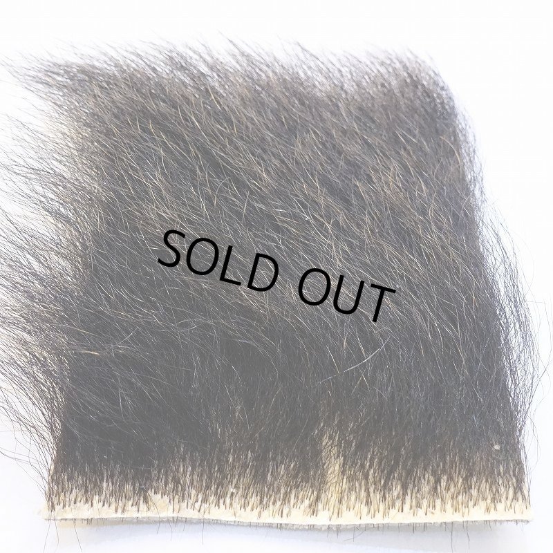 画像2: 【D】ヒグマ 10x10cm(Aグレード) (2)