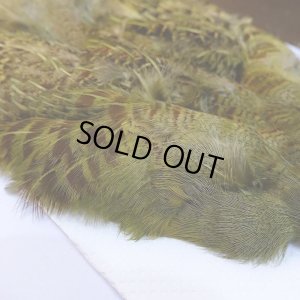 画像3: 【CANAL】パートリッジ ダイドオリーブ