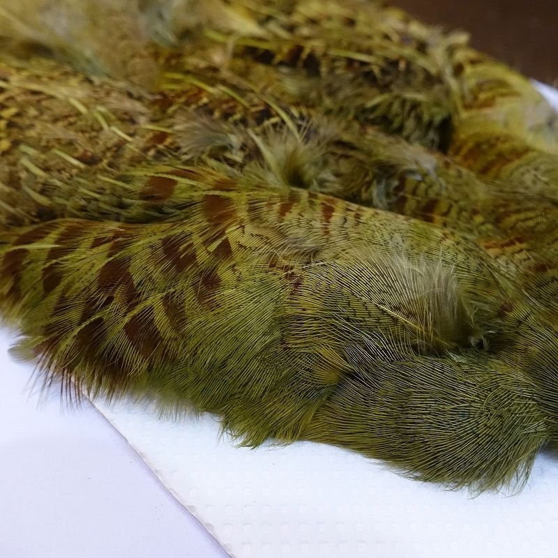 画像3: 【CANAL】チャイニーズパートリッジ ダイドオリーブ (3)