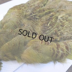 画像4: 【CANAL】パートリッジ ダイドオリーブ