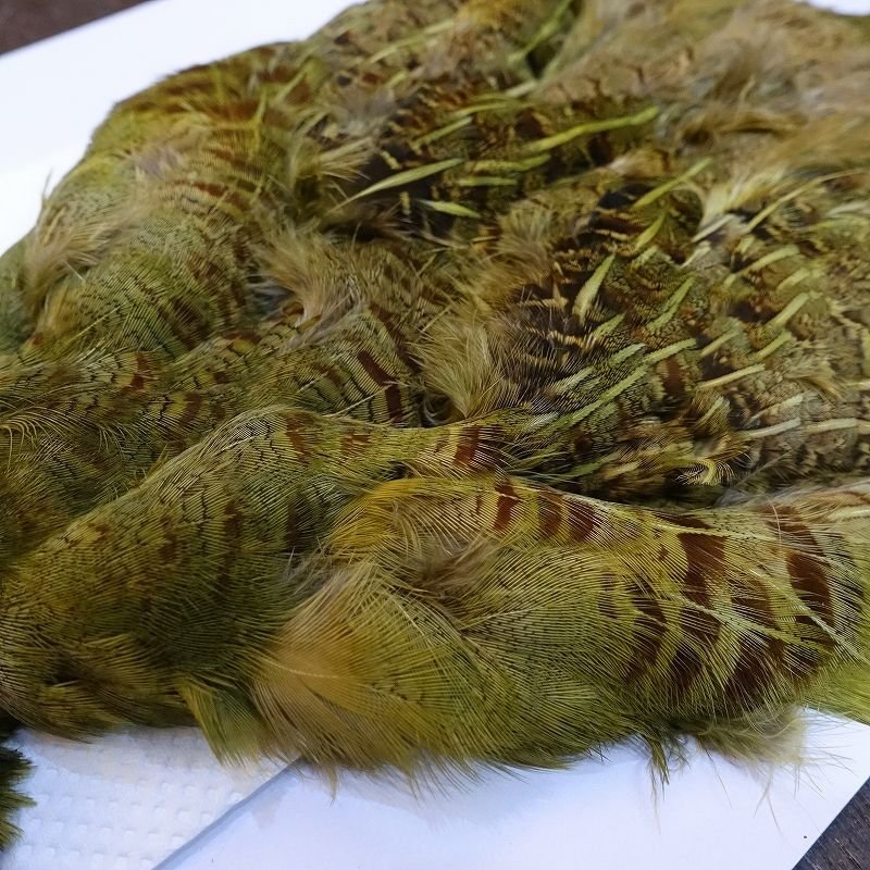 画像4: 【CANAL】チャイニーズパートリッジ ダイドオリーブ (4)