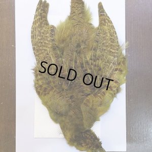 画像1: 【CANAL】パートリッジ ダイドオリーブ