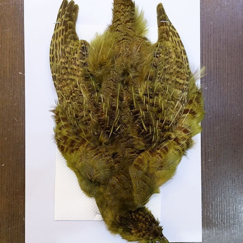 画像1: 【CANAL】チャイニーズパートリッジ ダイドオリーブ (1)