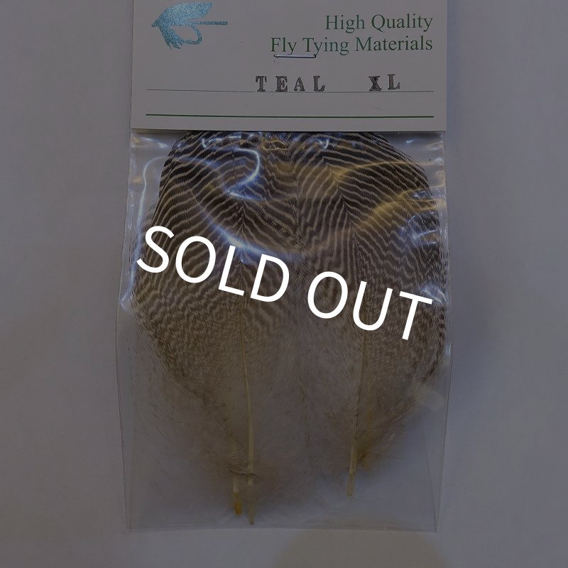 画像1: 【CANAL】TEAL フェザー XL (1)