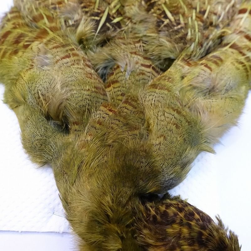 画像2: 【CANAL】チャイニーズパートリッジ ダイドオリーブ (2)