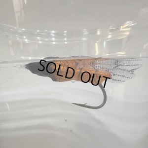 画像5: ハルゼミ ドライフライ #6