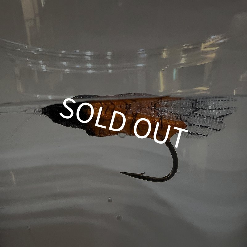 画像5: ハルゼミ ドライフライ #6 (5)